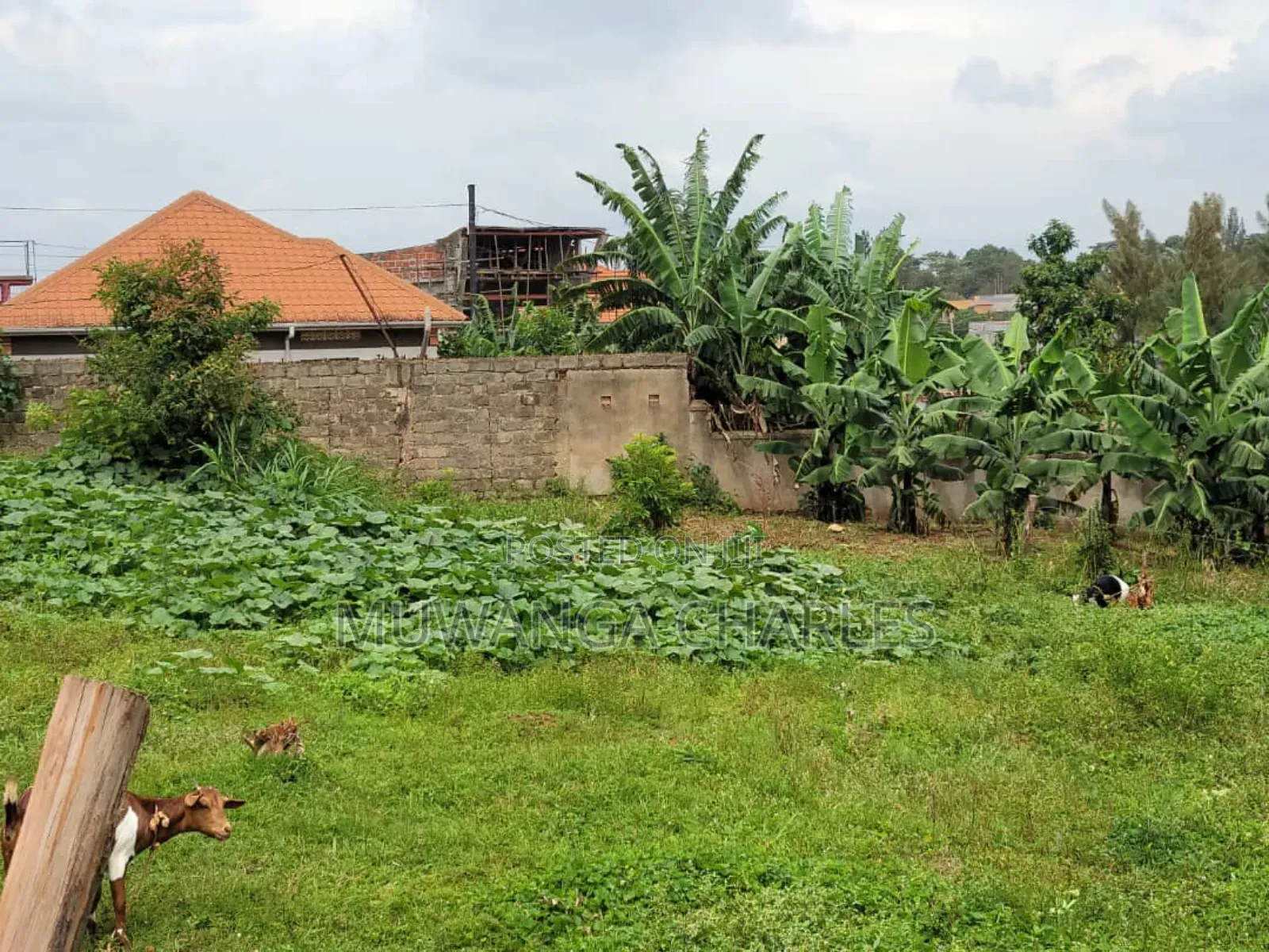 Plots for Sale in Buwaate in Division A