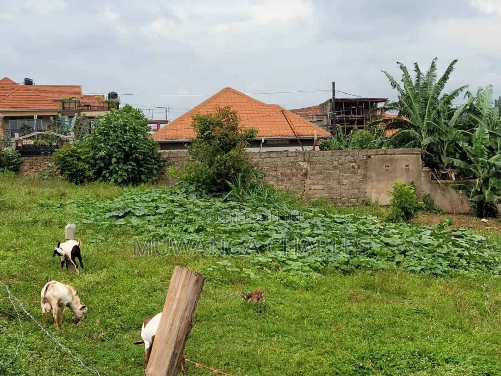 Plots for Sale in Buwaate in Division A