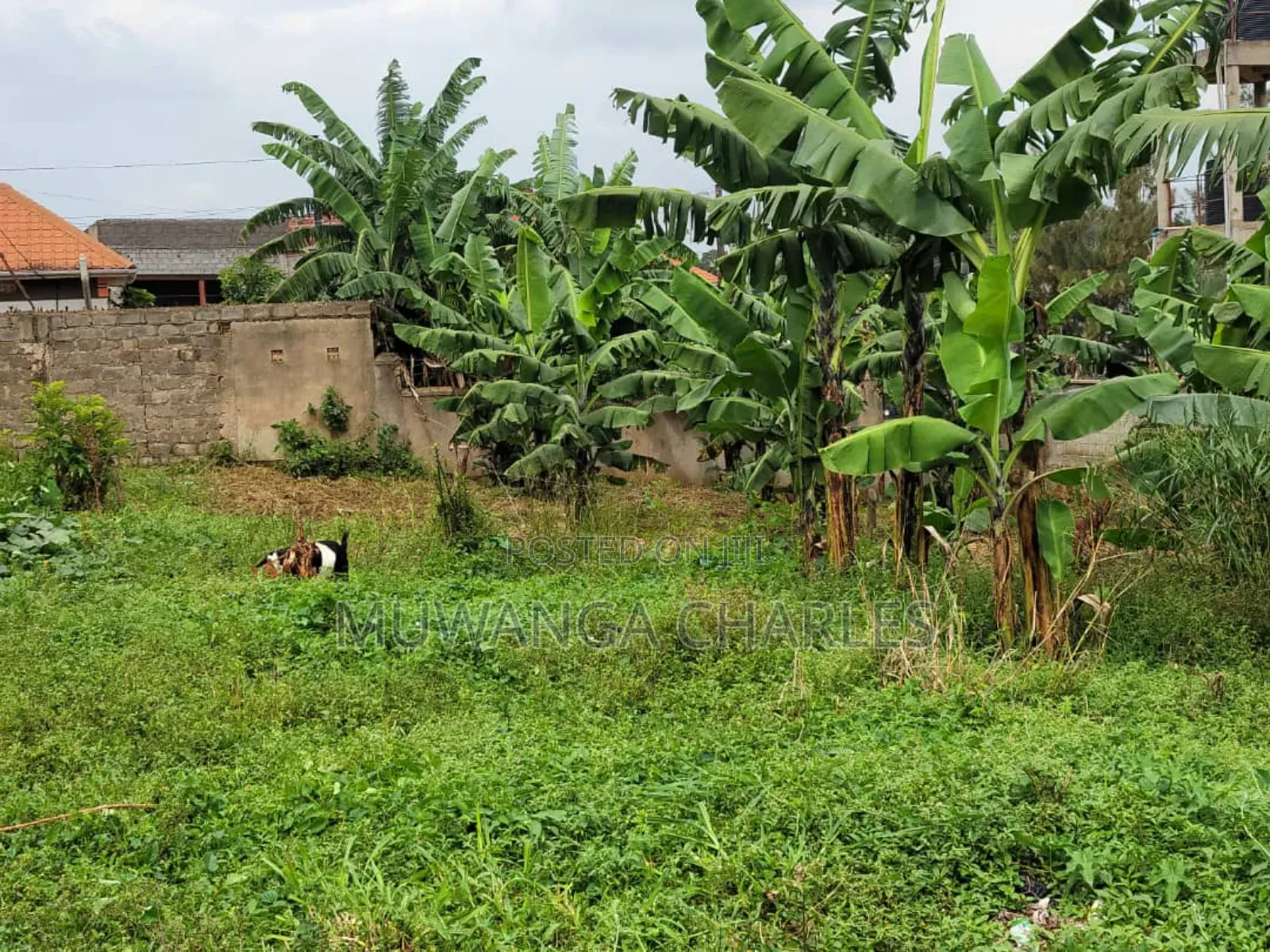 Plots for Sale in Buwaate in Division A