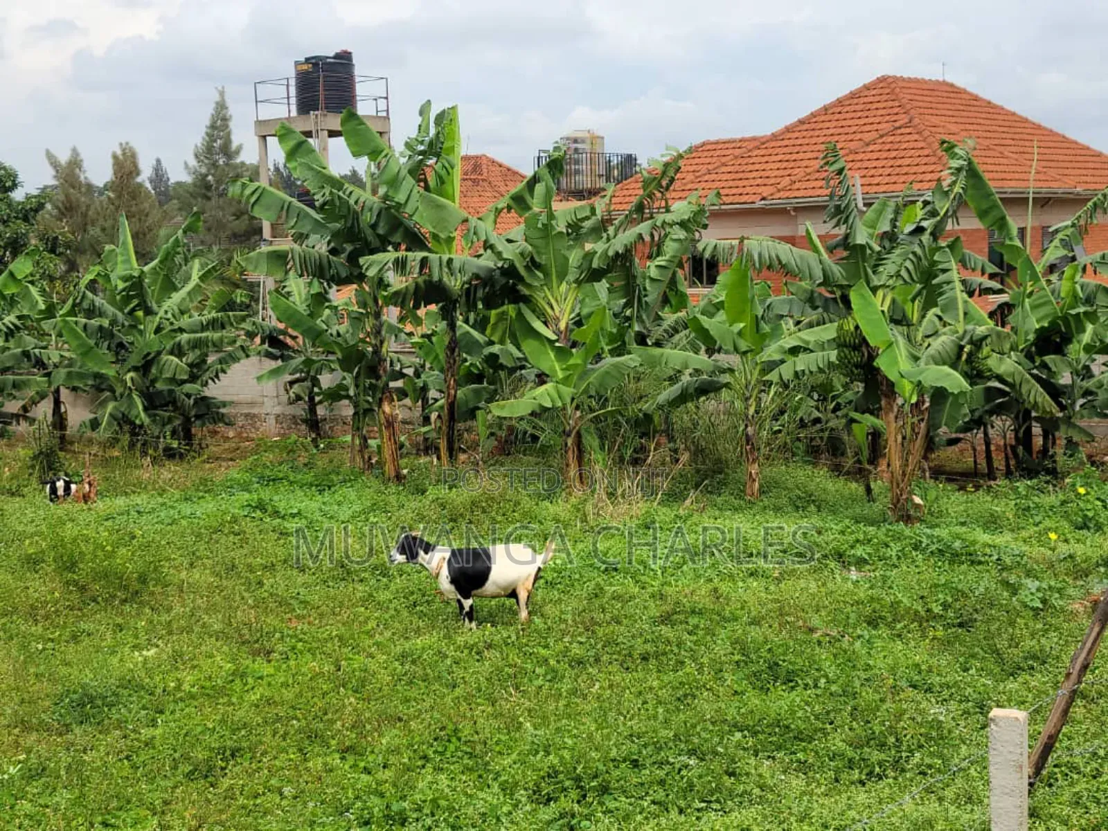 Plots for Sale in Buwaate in Division A
