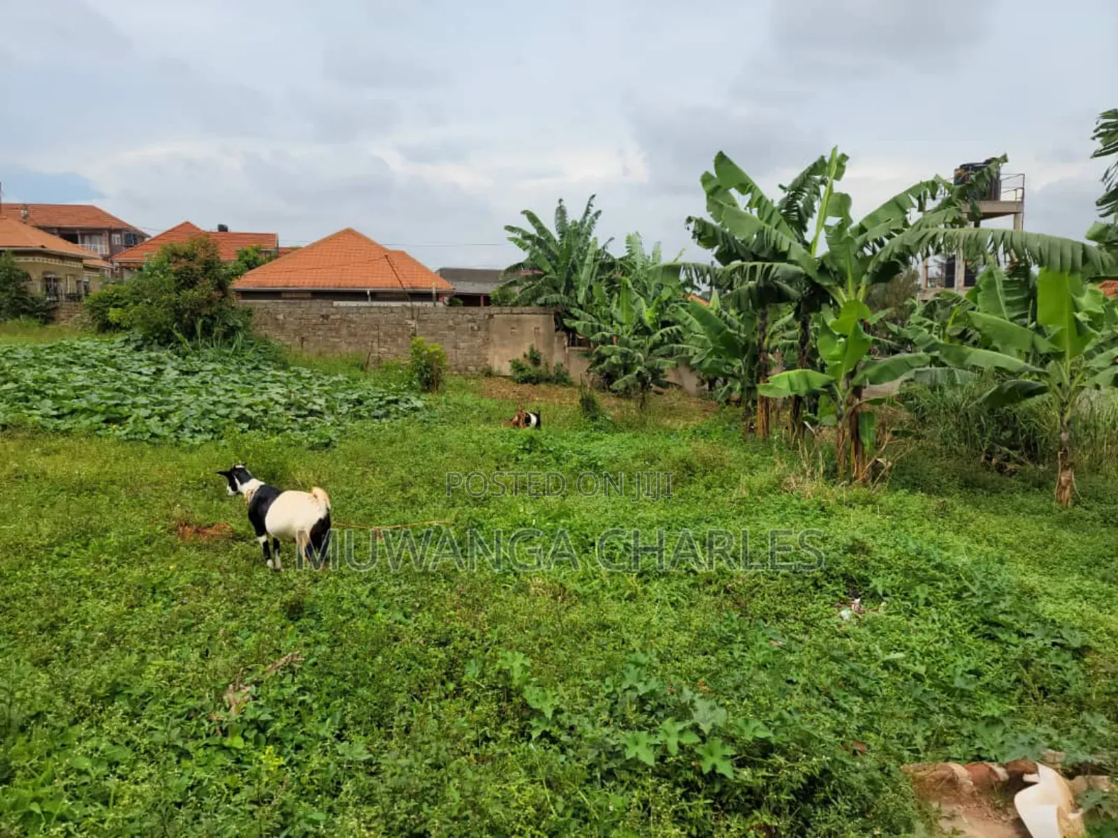 Plots for Sale in Buwaate in Division A