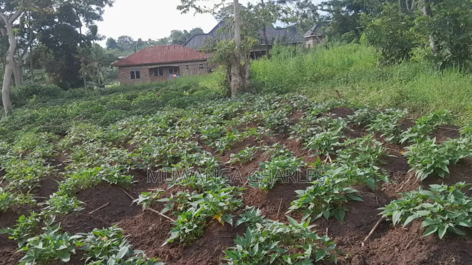 30decimasl of Land for Sale in Kyanja Kungu in Division A