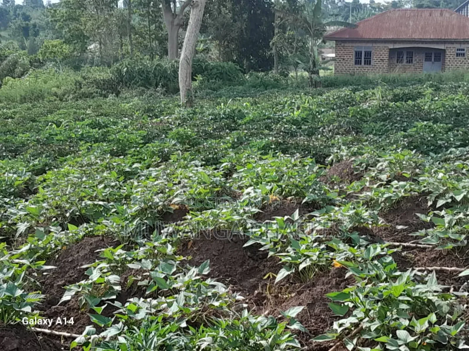 30decimasl of Land for Sale in Kyanja Kungu in Division A