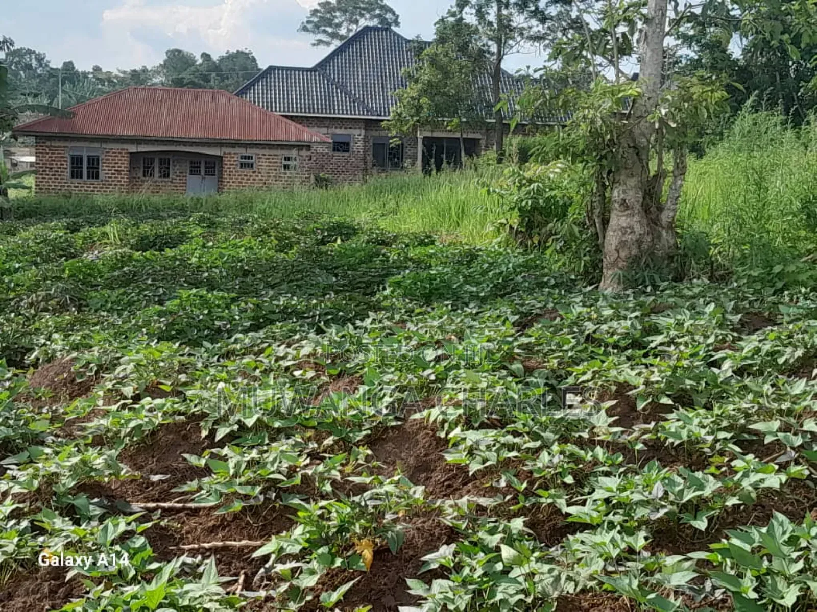 30decimasl of Land for Sale in Kyanja Kungu in Division A