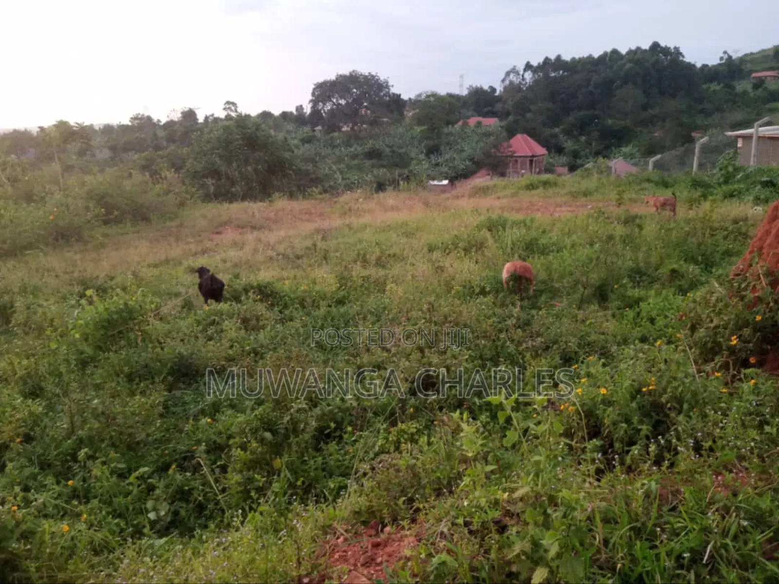 Land for Sale in Kira in Wakiso / Wakiso