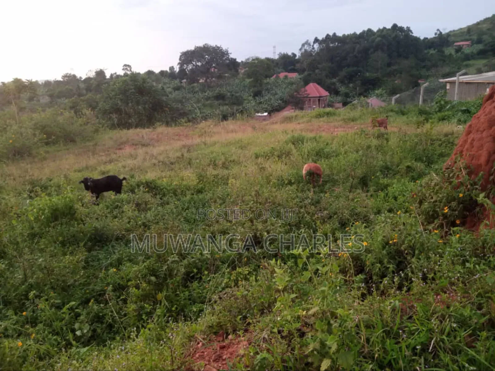 Land for Sale in Kira in Wakiso / Wakiso