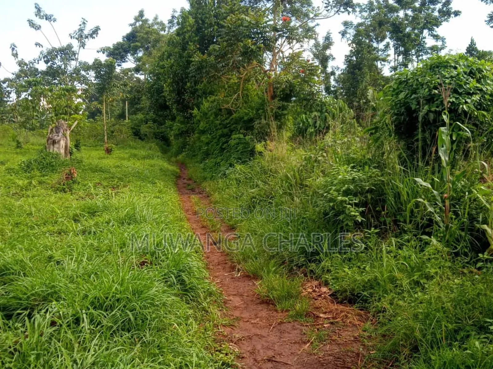 Land for Sale in Wabutungulu in Luwero / Luwero