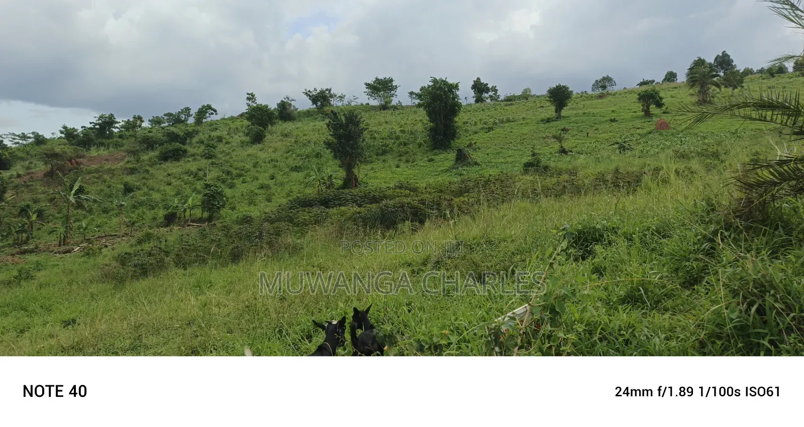 Plot's for Sale in Kakiri in Kakiri