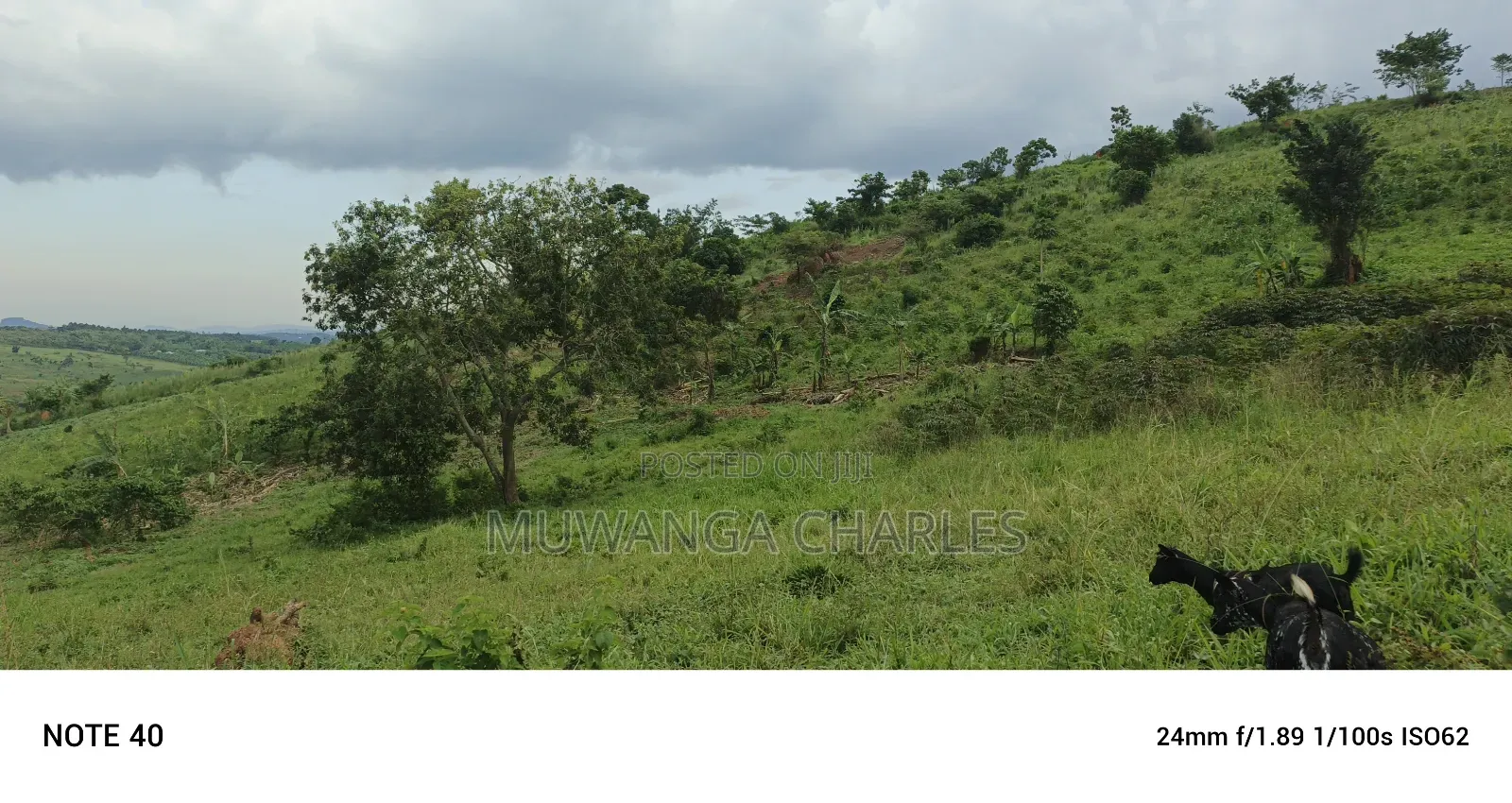 Plot's for Sale in Kakiri in Kakiri