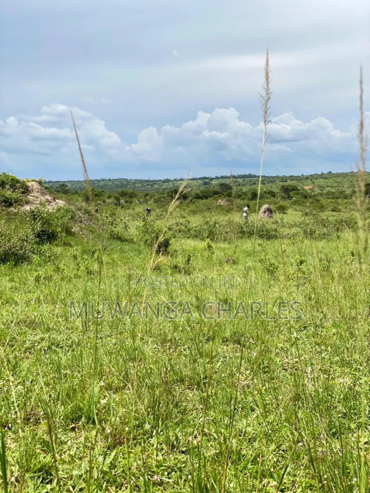 Plot's for Sale in Kikandwa in Wakiso / Wakiso