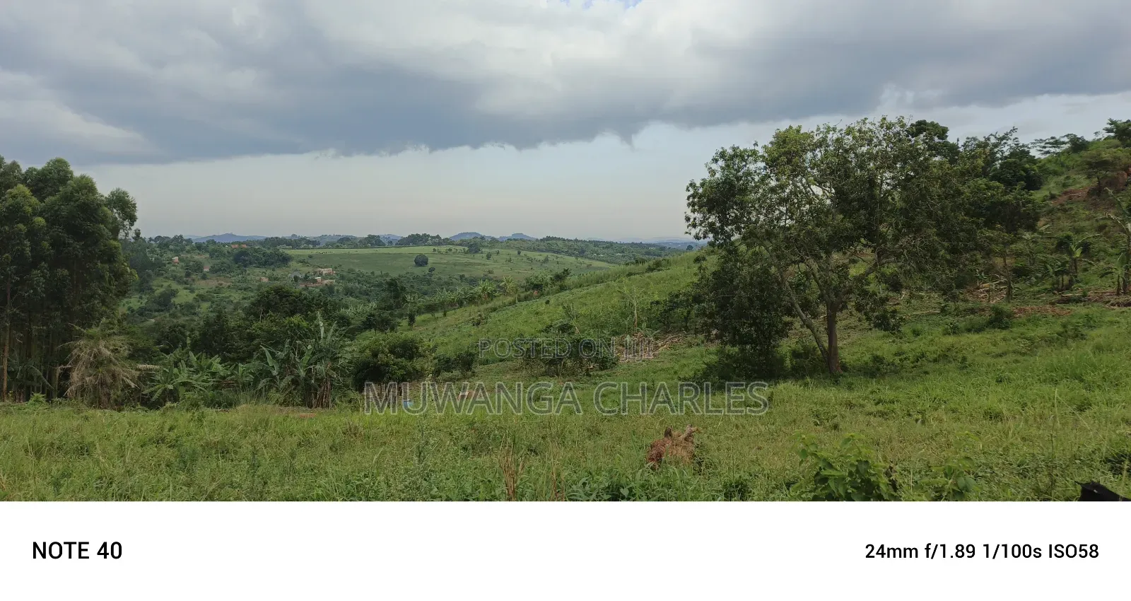 Plot's for Sale in Kikandwa in Wakiso / Wakiso