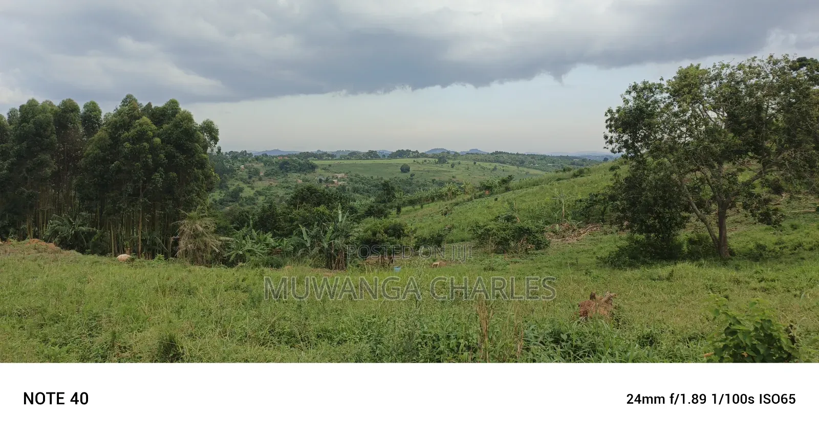 Plot's for Sale in Kikandwa in Wakiso / Wakiso
