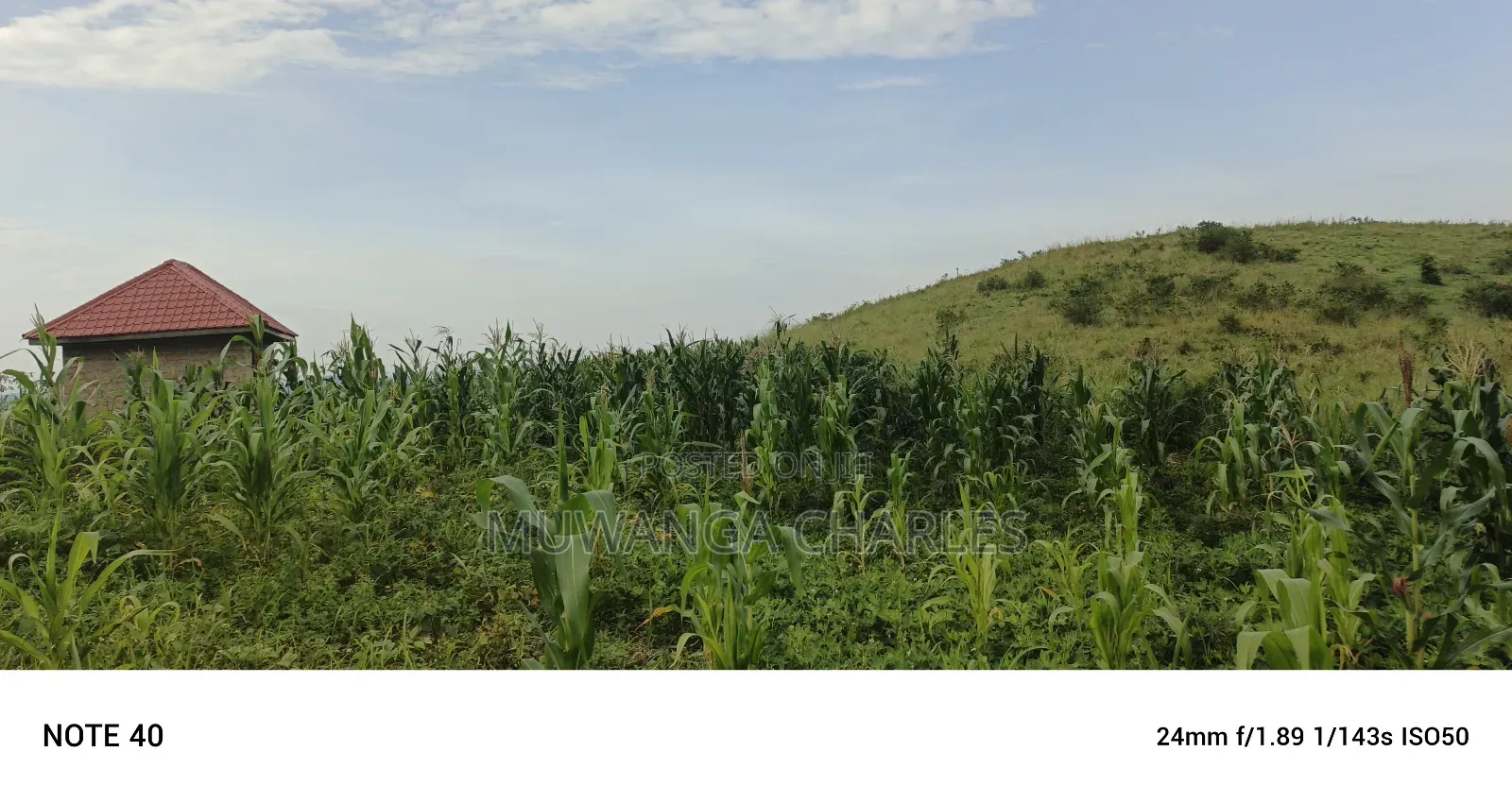 Plot's for Sale in Kikandwa in Wakiso / Wakiso