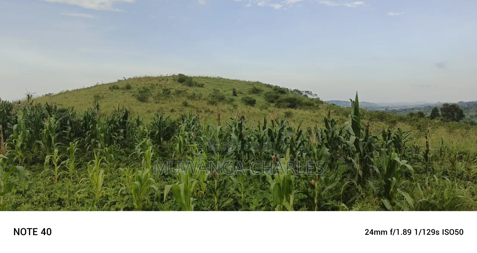 Plot's for Sale in Kikandwa in Wakiso / Wakiso
