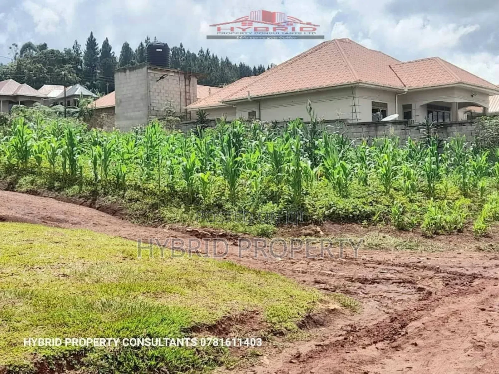 Prime Plots for Sale in Nakirebe Town Land Estate~Masaka Rd. in Kiringente