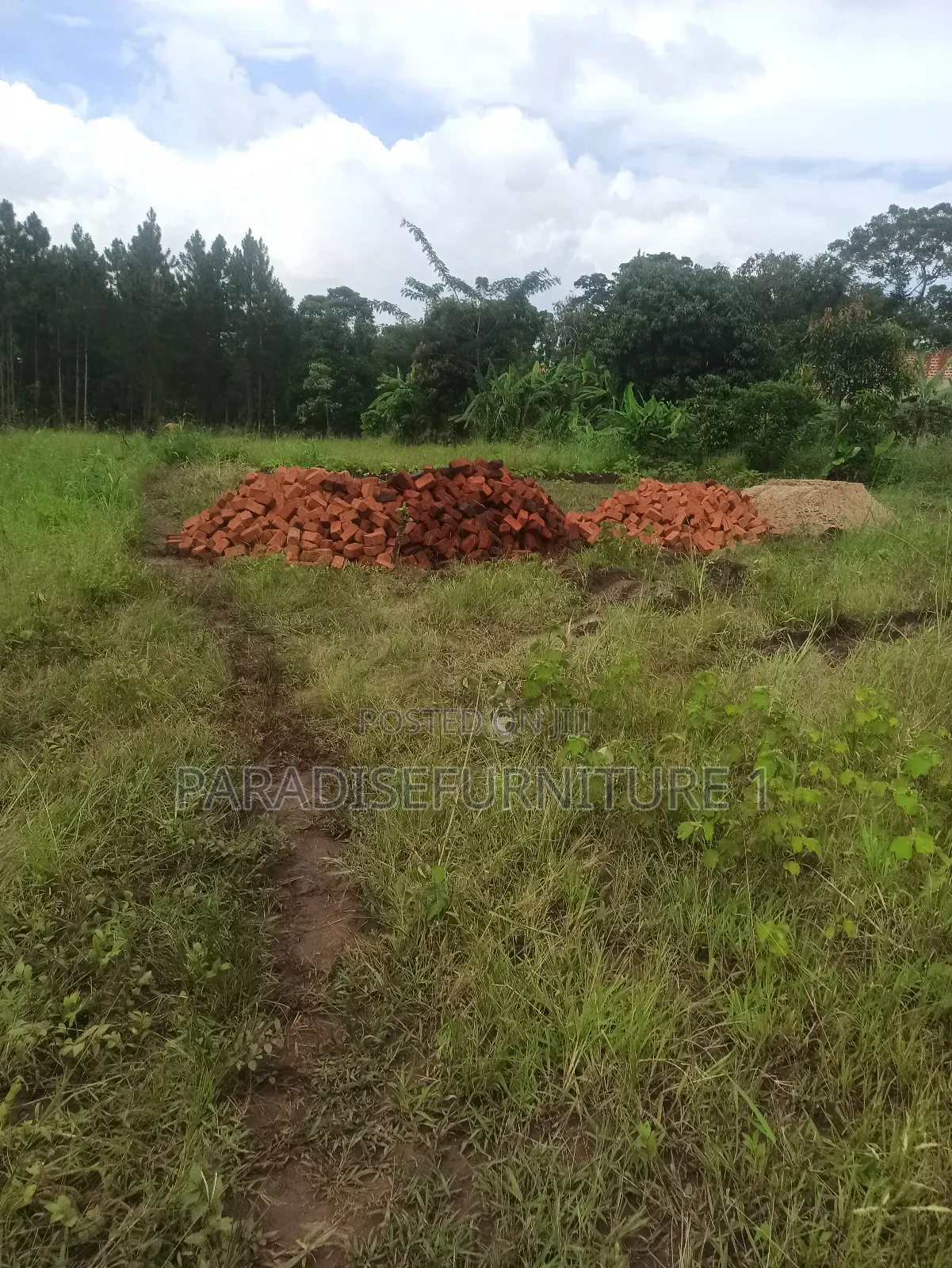 Plots on Sale ,Am the Seller, Am the Final Man! in Kasawo