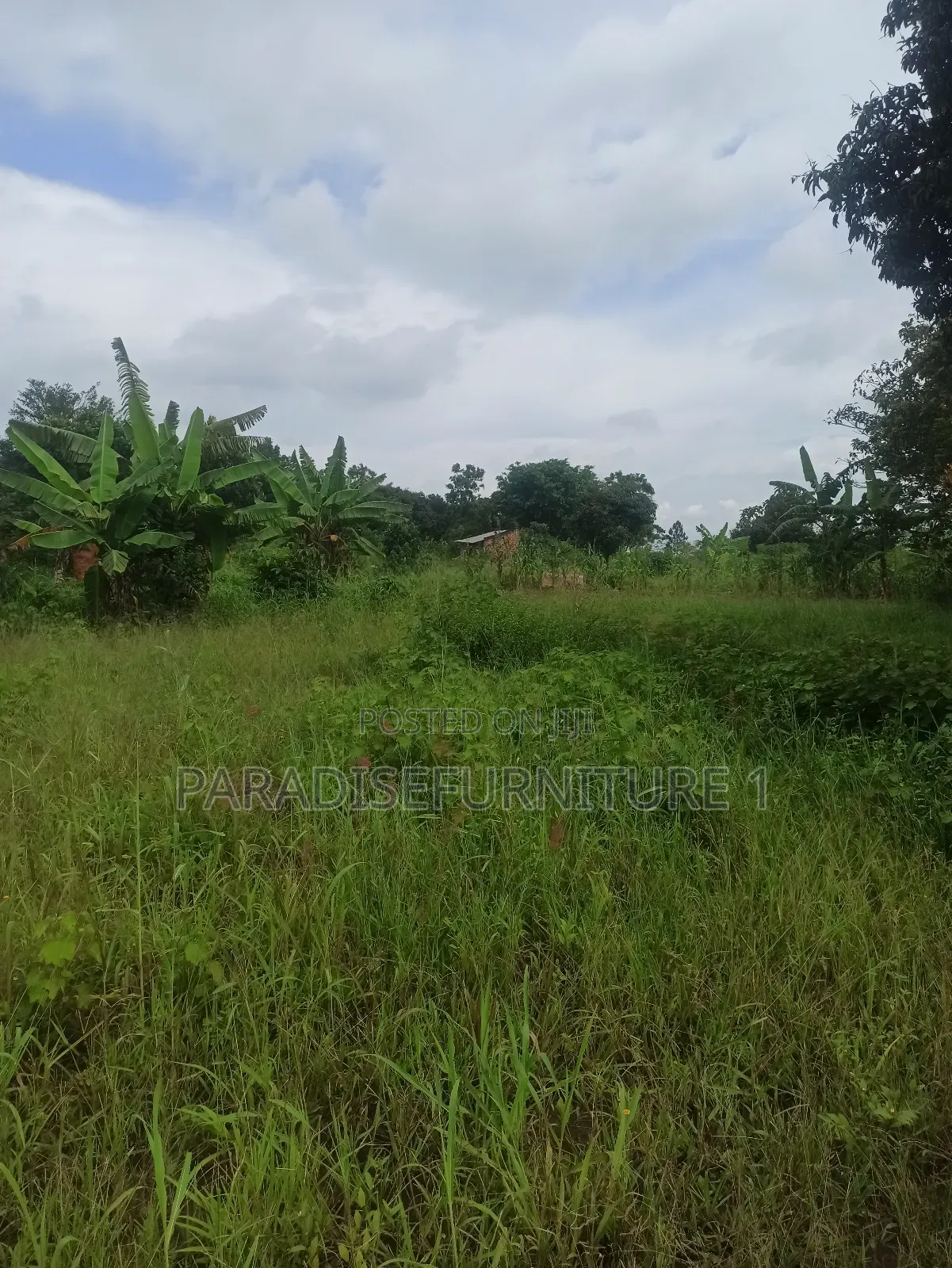 Plots on Sale ,Am the Seller, Am the Final Man! in Kasawo