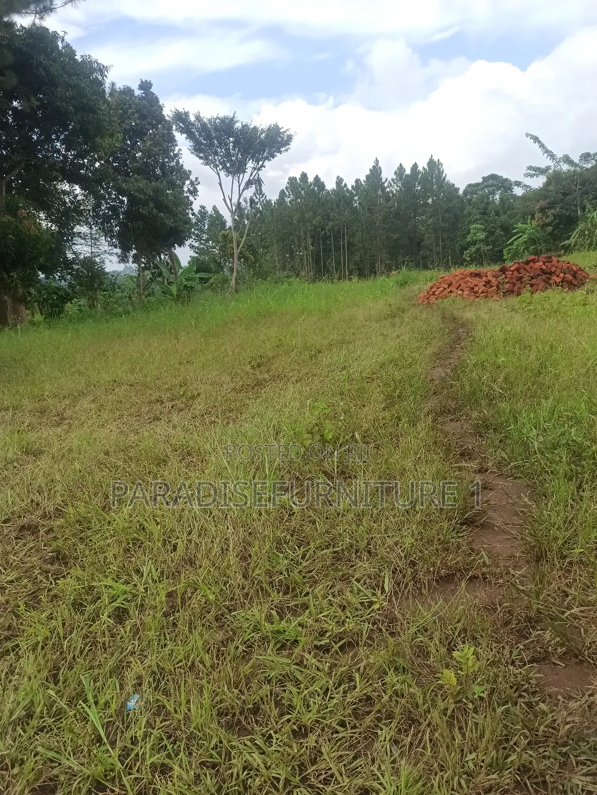 Plots on Sale ,Am the Seller, Am the Final Man! in Kasawo