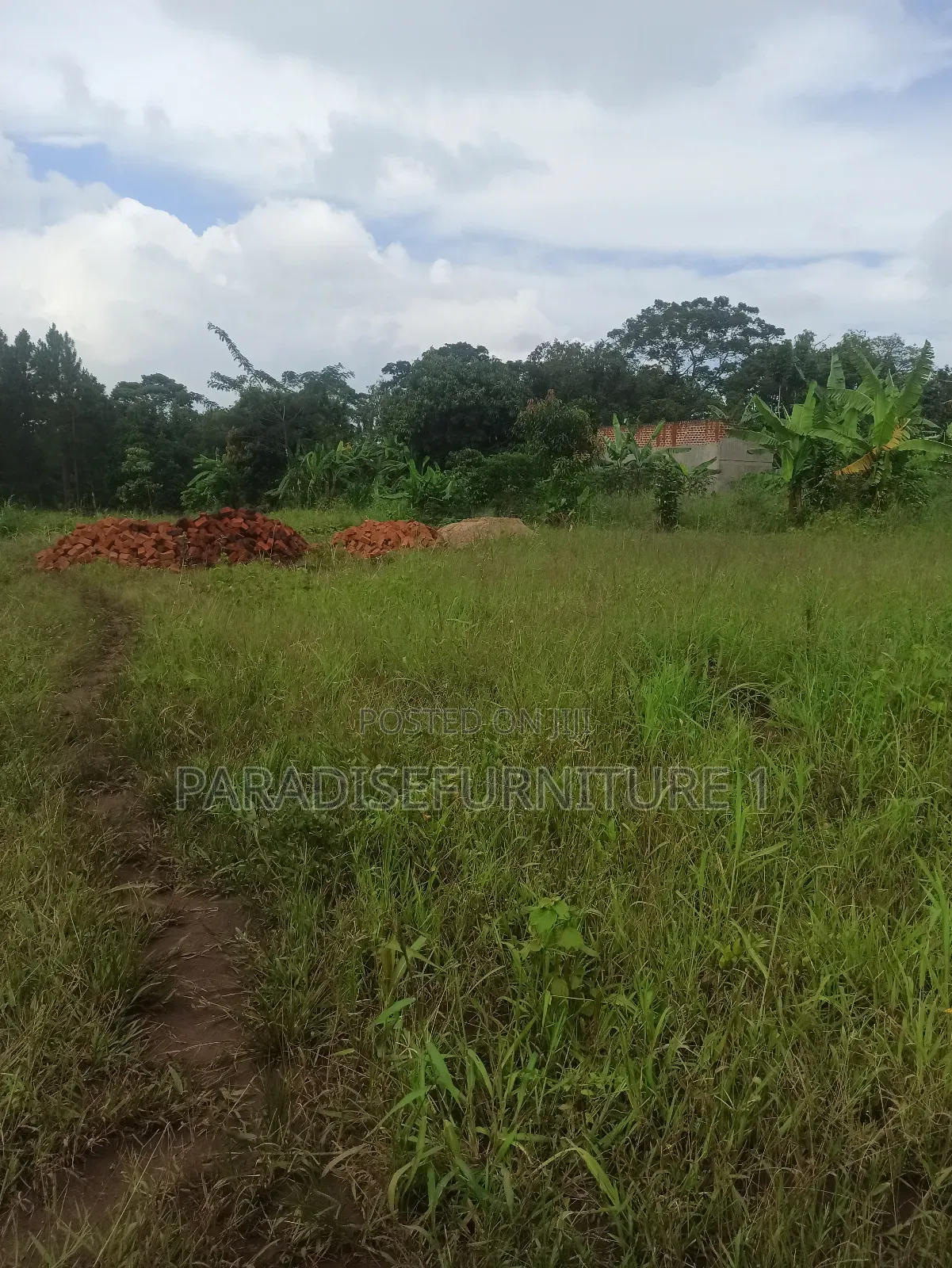 Plots on Sale ,Am the Seller, Am the Final Man! in Kasawo