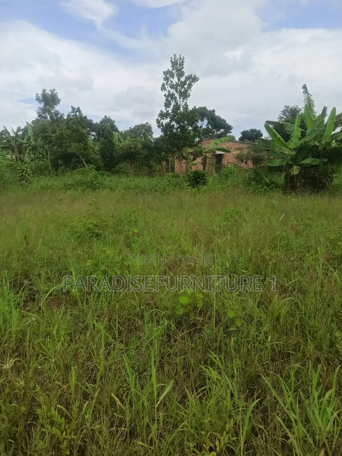 Plots on Sale ,Am the Seller, Am the Final Man! in Kasawo