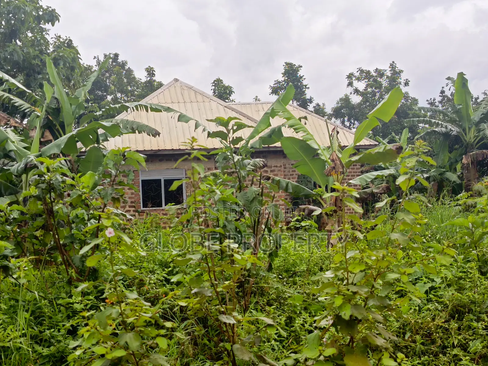 2bdrm Bungalow in Nakasajja, Kasawo for sale in Kasawo