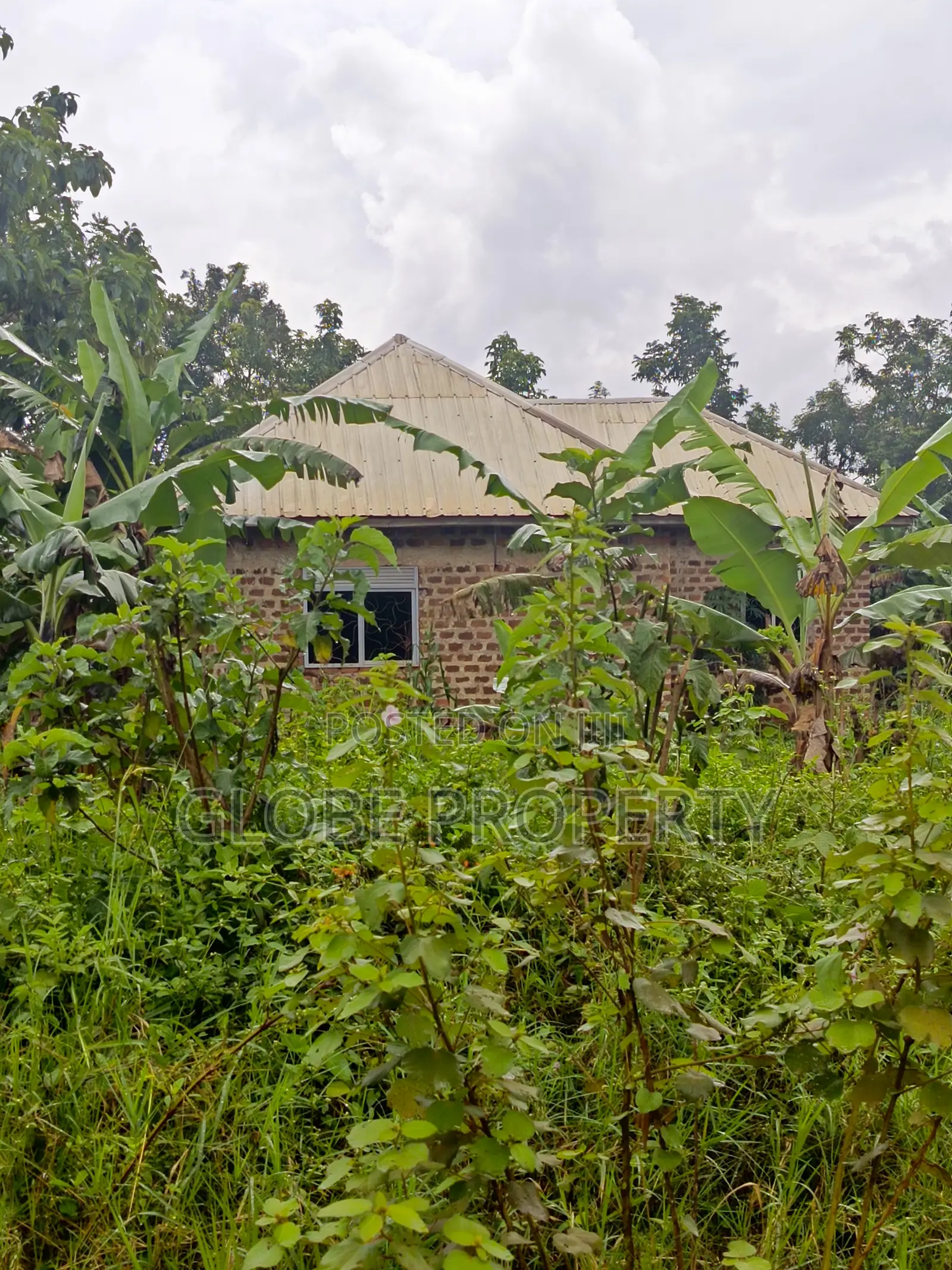 2bdrm Bungalow in Nakasajja, Kasawo for sale in Kasawo