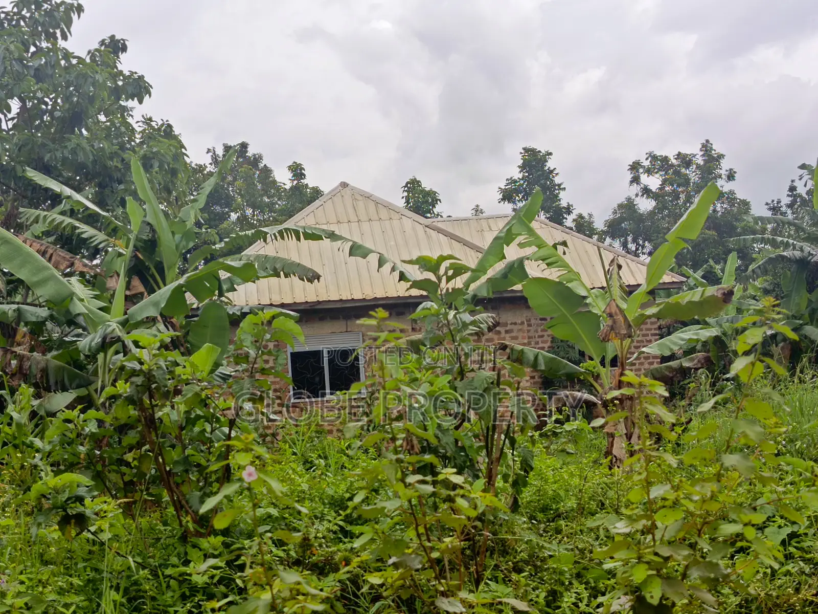 2bdrm Bungalow in Nakasajja, Kasawo for sale in Kasawo