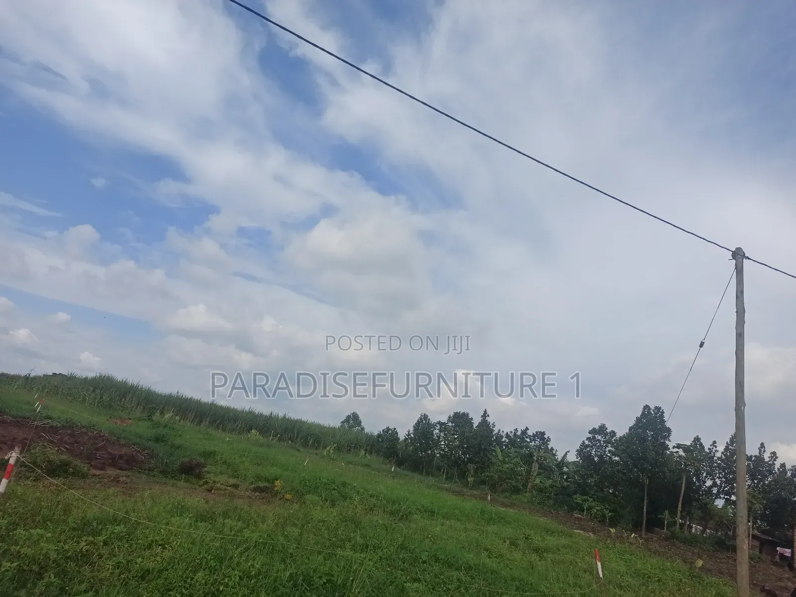 Plots on Sale by Myself ,Am the Owner 2311402 in Kasawo