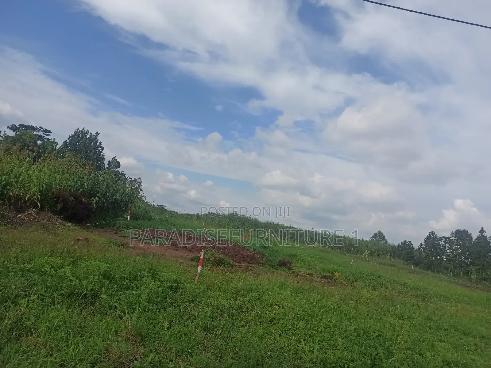 Plots on Sale by Myself ,Am the Owner 2311402 in Kasawo