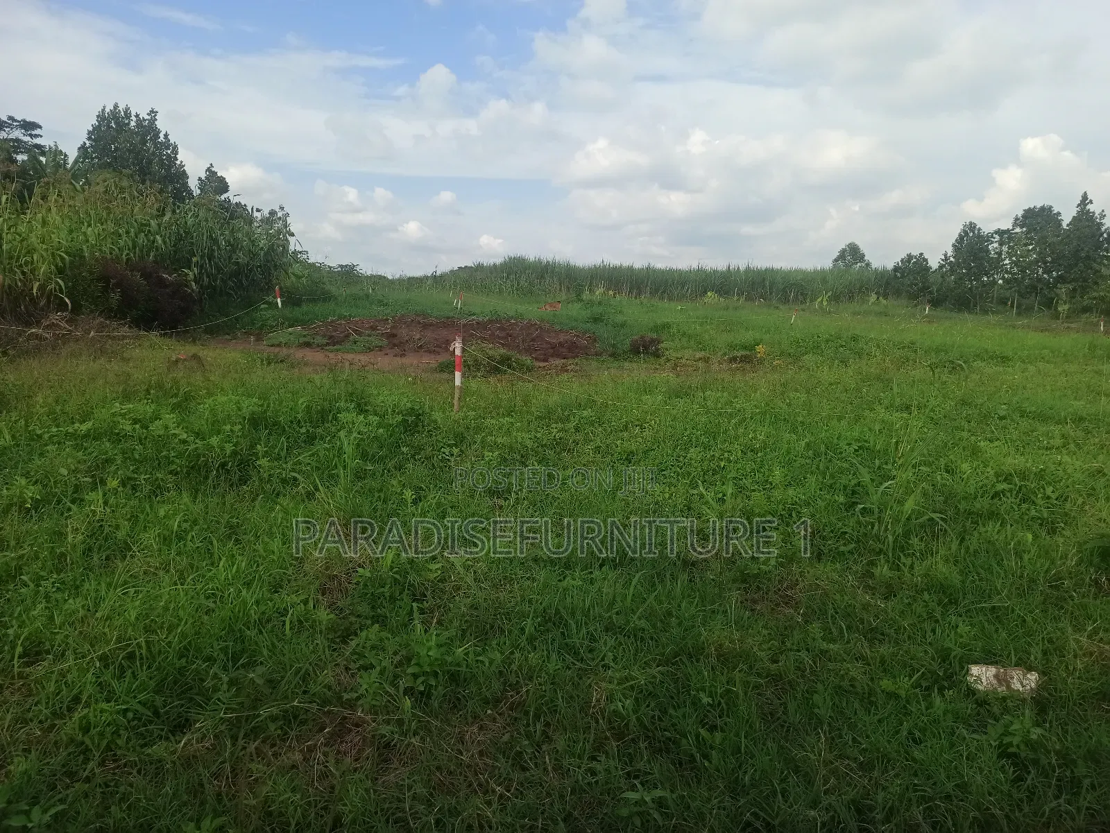 Plots on Sale by Myself ,Am the Owner 2311402 in Kasawo