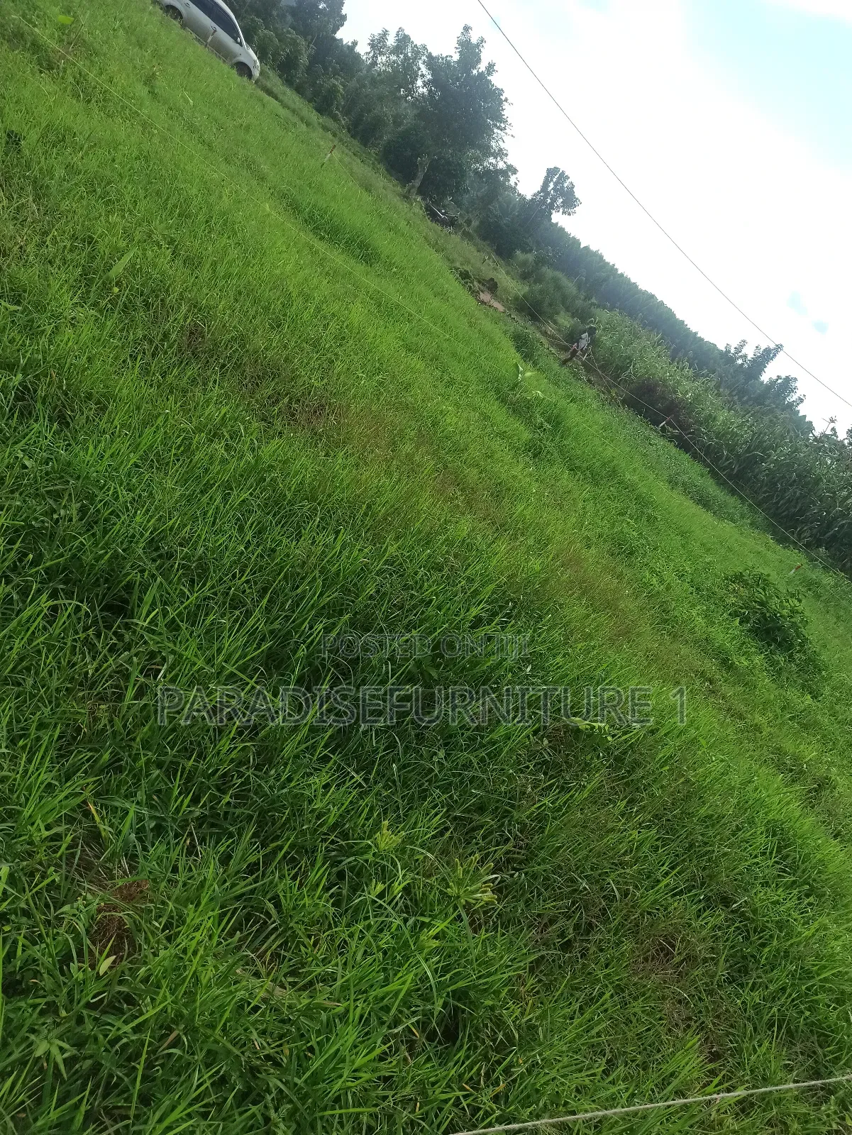 Plots on Quick Sale, by My Self and Am the Owner in Kasawo