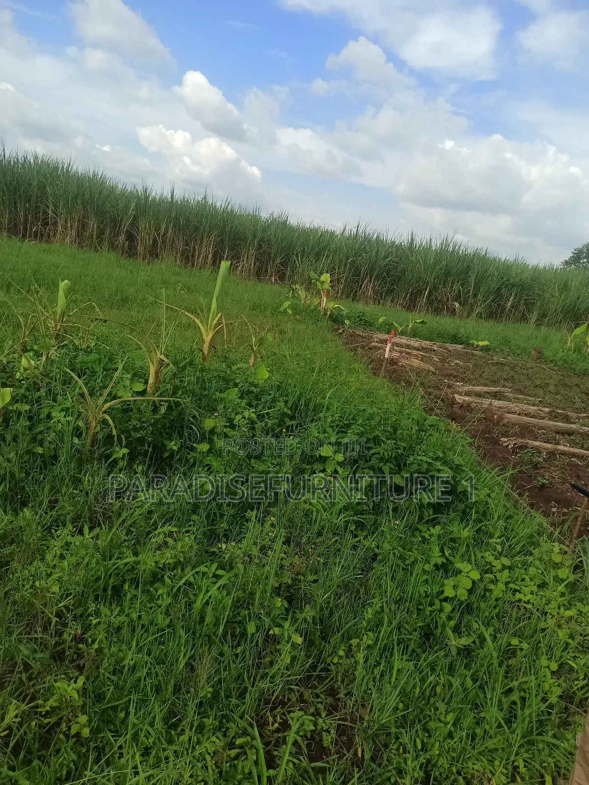 Plots on Quick Sale, by My Self and Am the Owner in Kasawo