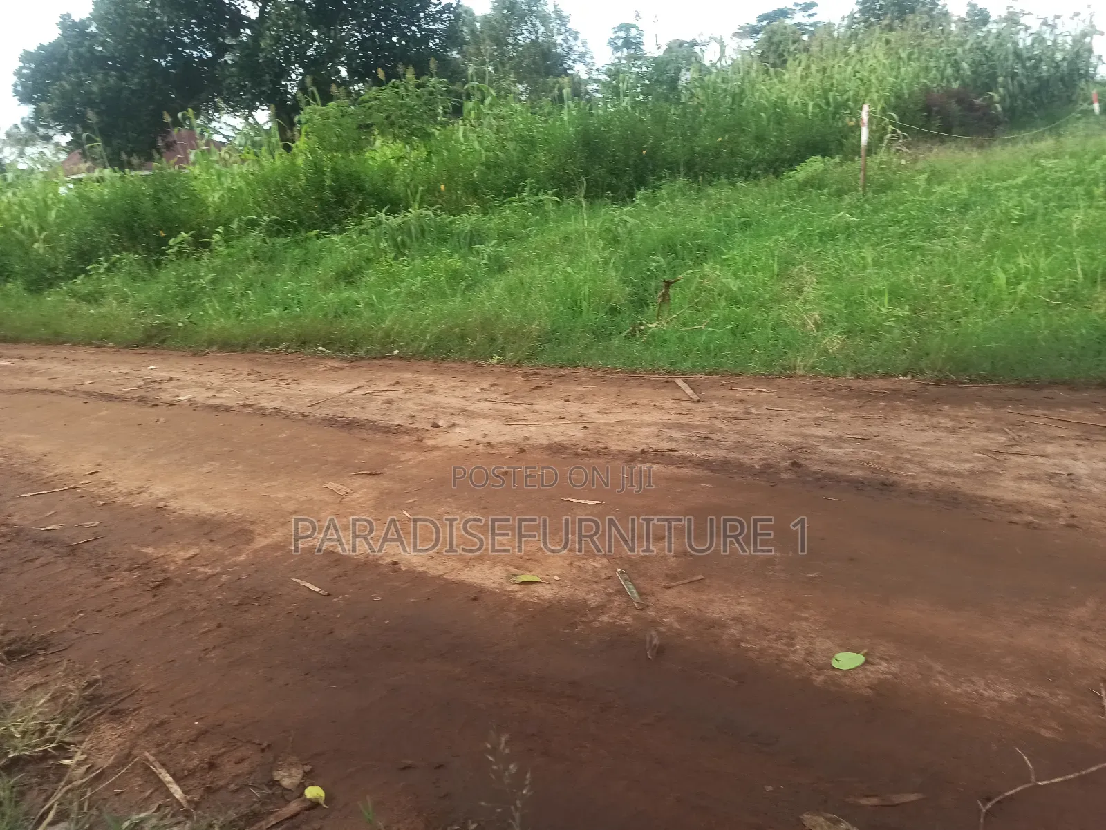 Plots on Quick Sale, by My Self and Am the Owner in Kasawo