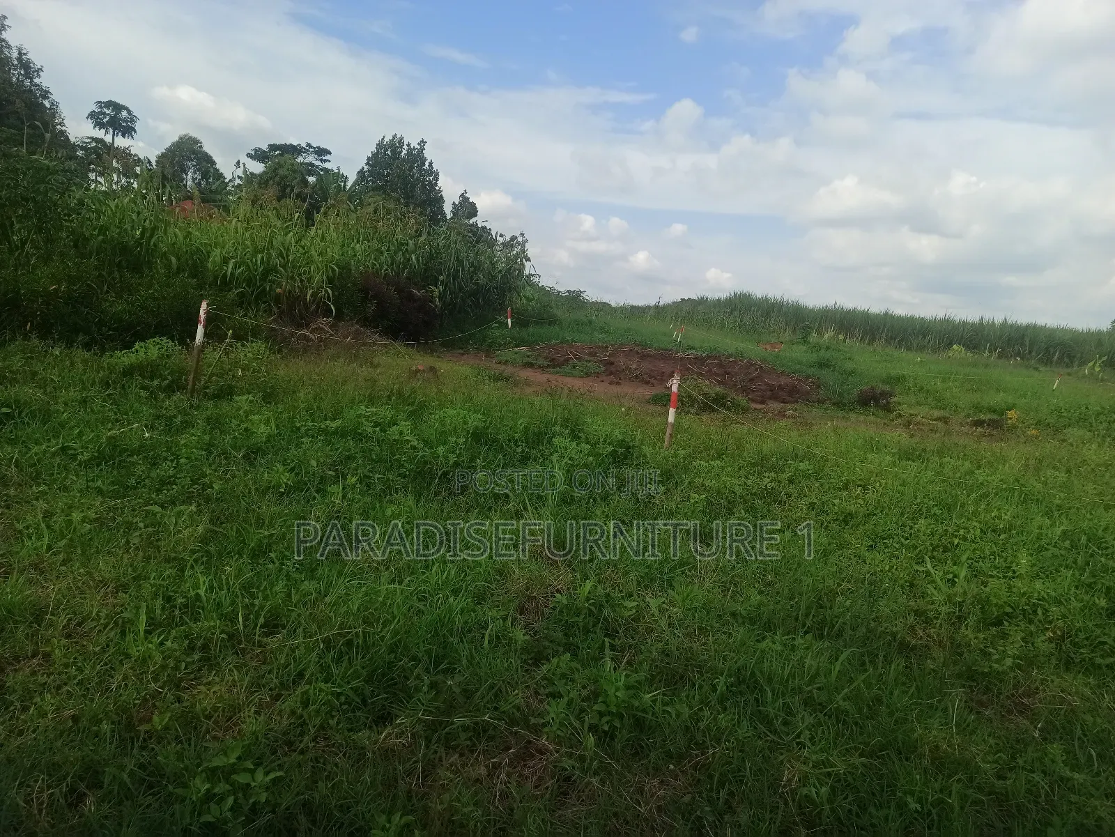 Plots on Quick Sale, by My Self and Am the Owner in Kasawo