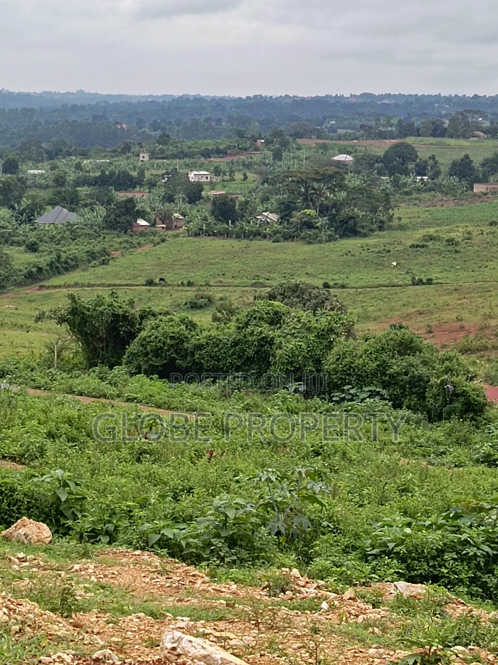 50x100 Plot for Sale in Nakasajja in Kasawo
