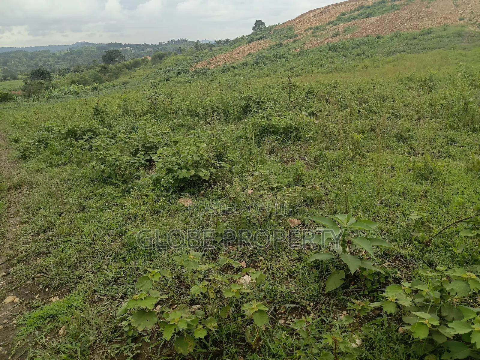 50x100 Plot for Sale in Nakasajja in Kasawo