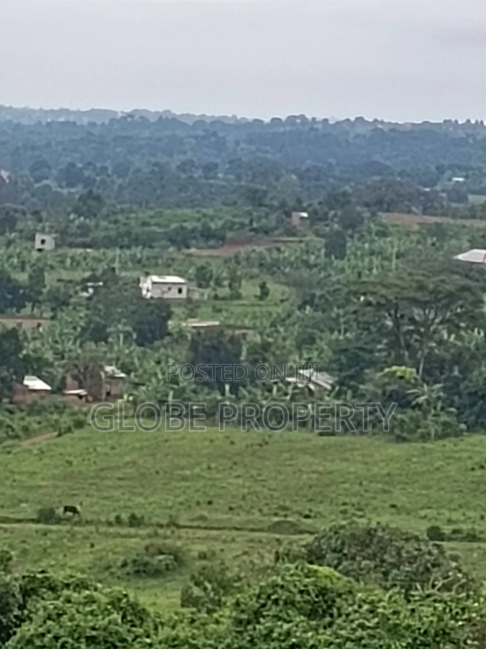 25 Decimal Plots for Sale in Nakasajja for Sale in Kasawo