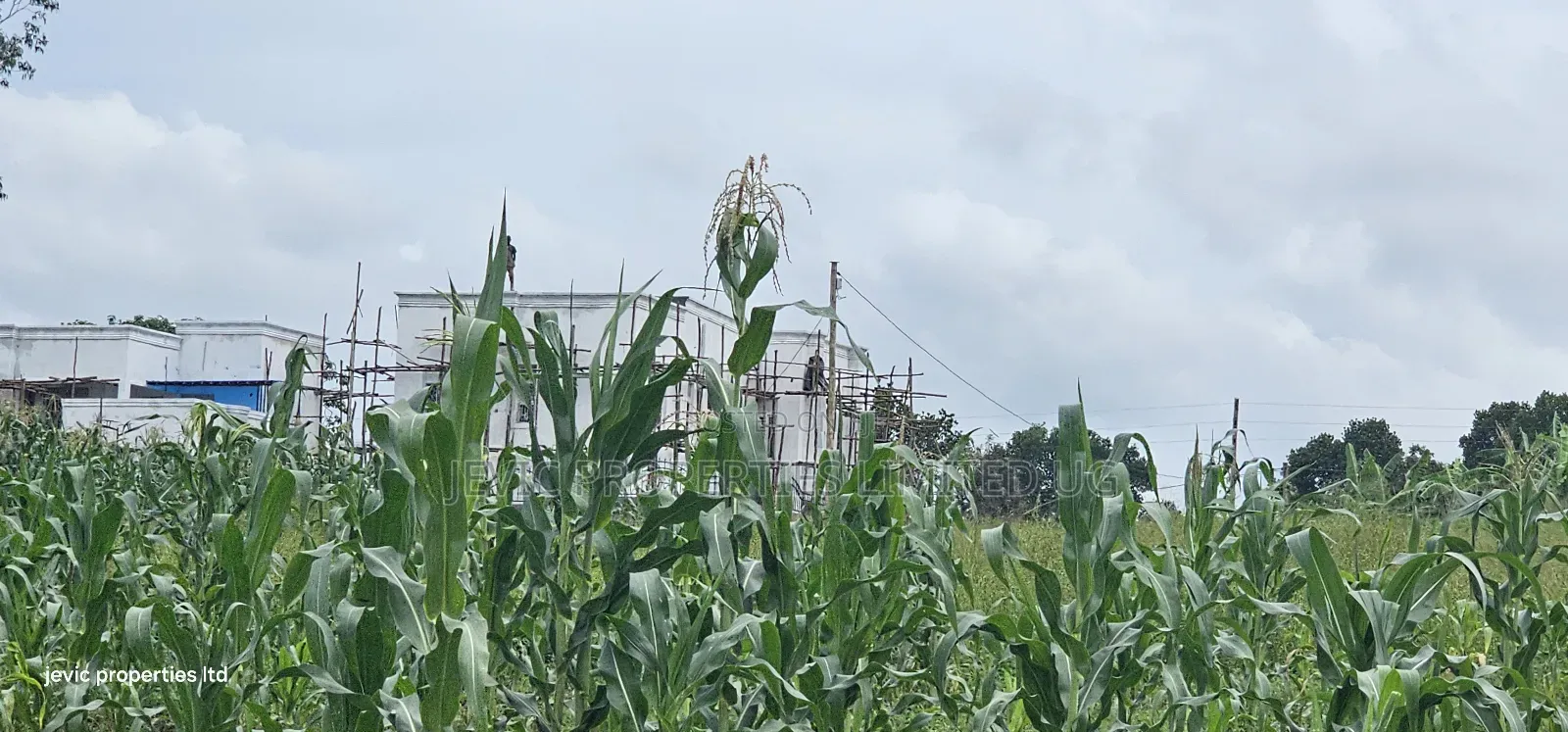 Wakiso - Namayumba Plots for Sale 100 MTRS Off Tarmac in Namayumba