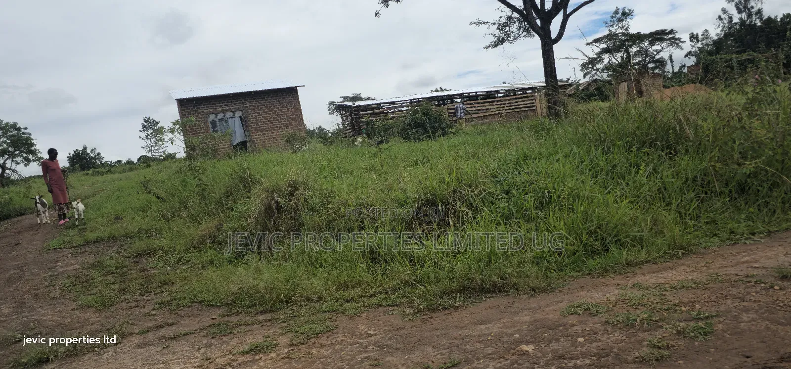 Wakiso - Namayumba Plots for Sale 100 MTRS Off Tarmac in Namayumba