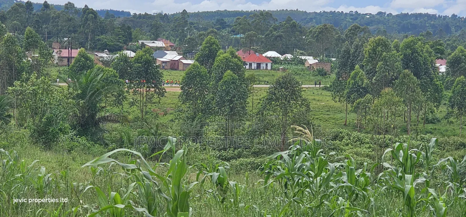Wakiso - Namayumba Plots for Sale 100 MTRS Off Tarmac in Namayumba