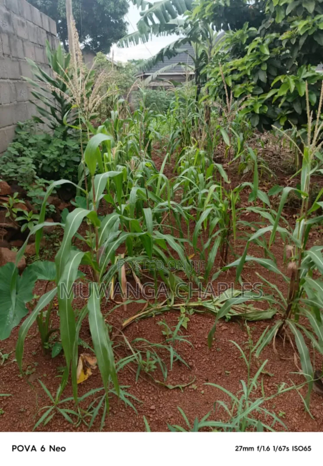 Plot for Sale in Kulambiro in Nakawa
