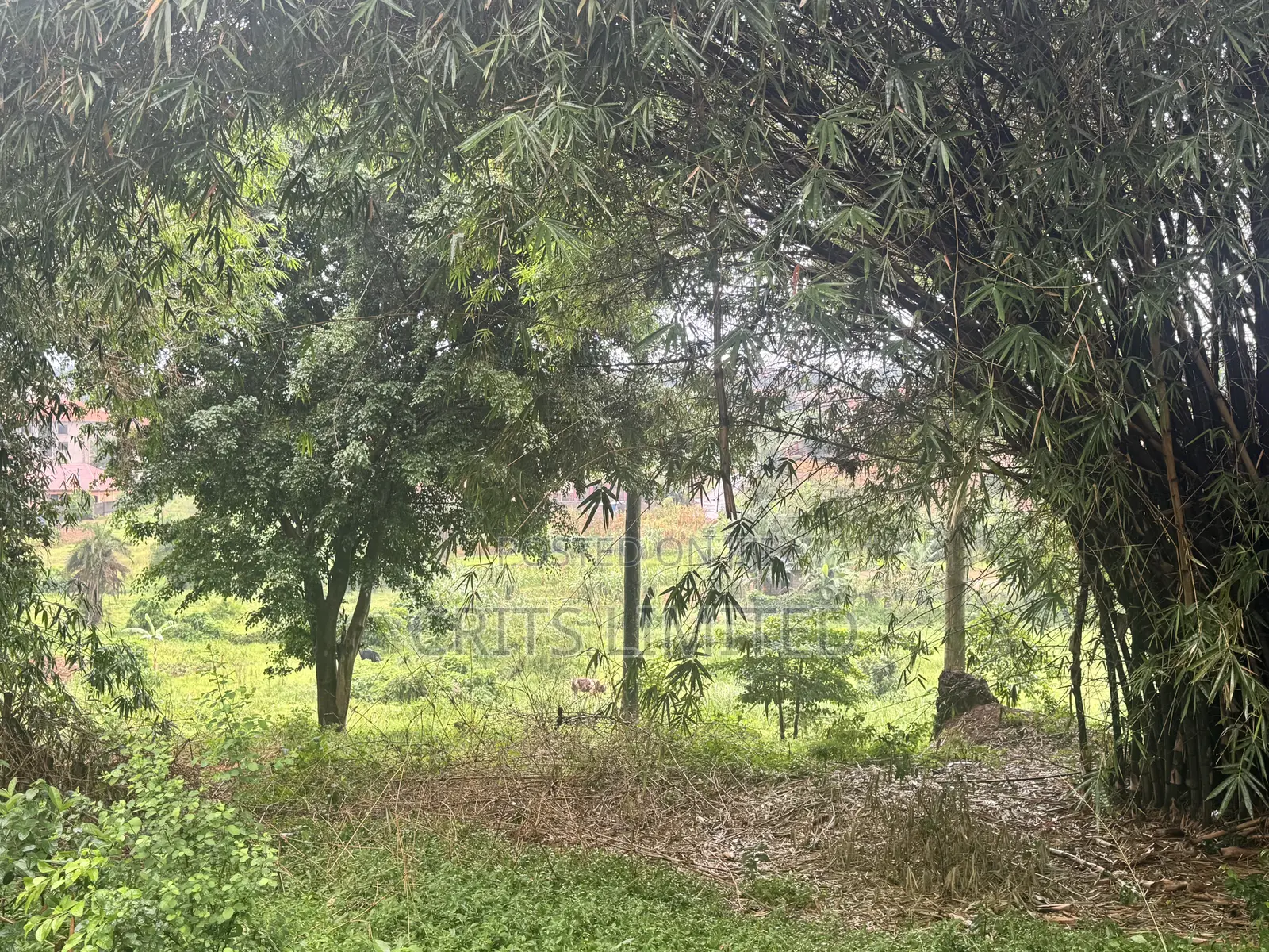 Prime Residential Land in ,Nalya.(2.89 Acres) in Nakawa