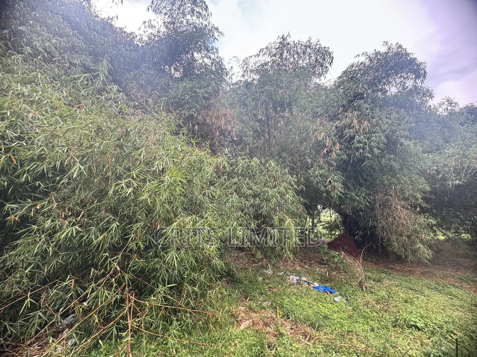 Prime Residential Land in ,Nalya.(2.89 Acres) in Nakawa