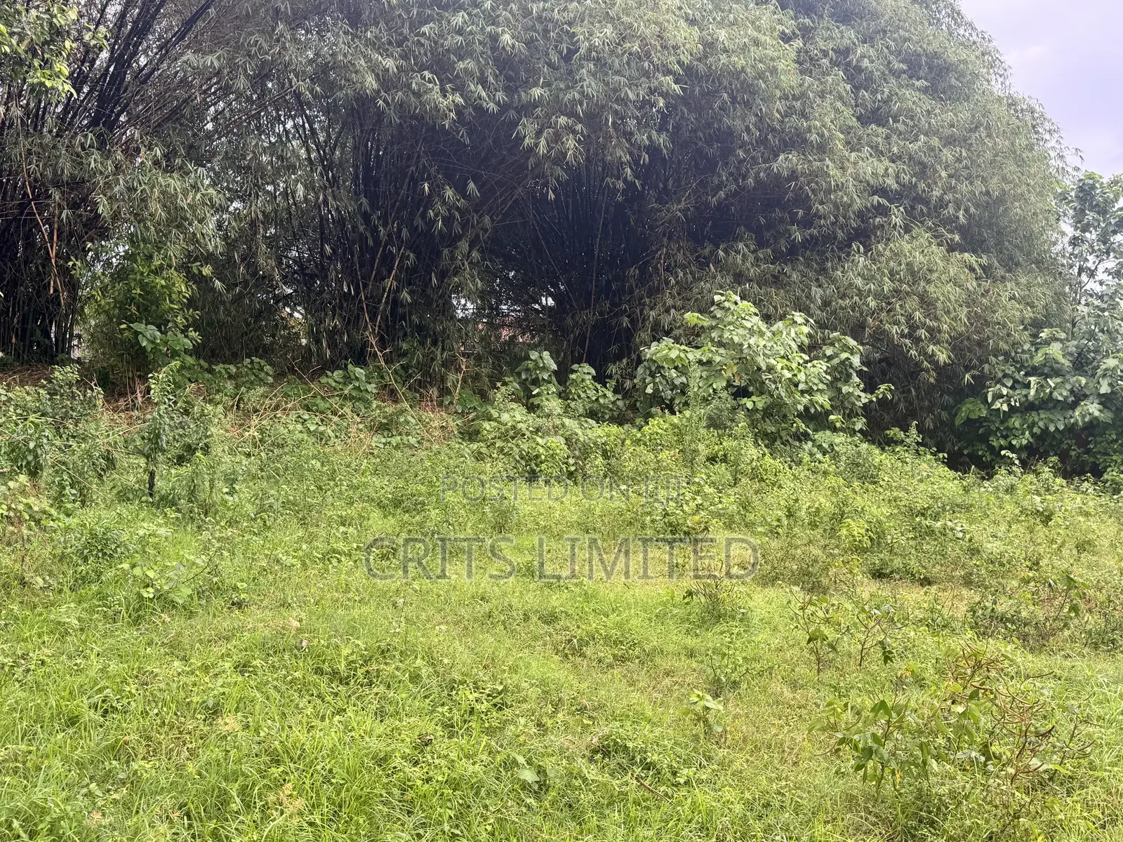 Prime Residential Land in ,Nalya.(2.89 Acres) in Nakawa