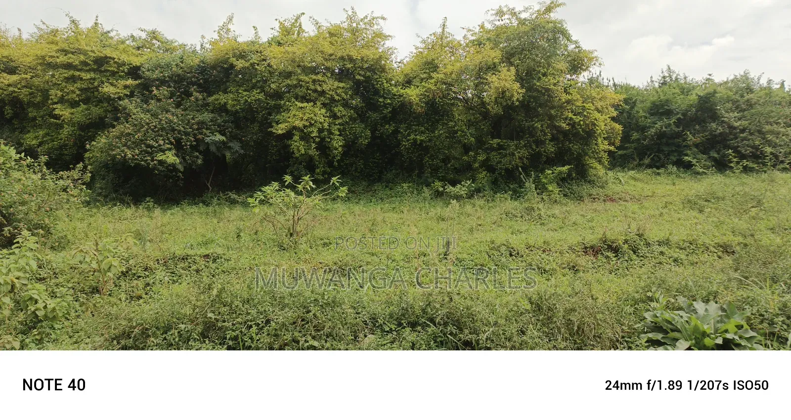 Land for Sale in Matuga in Gombe
