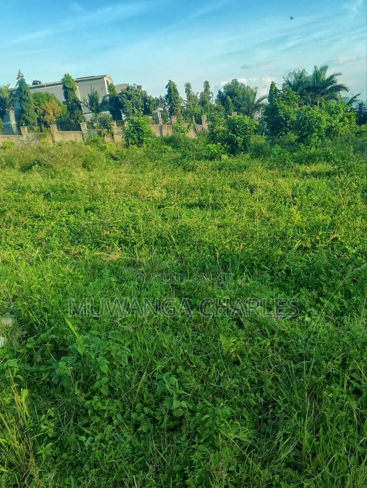 Plot for Sale in Busukuma in Busukuma