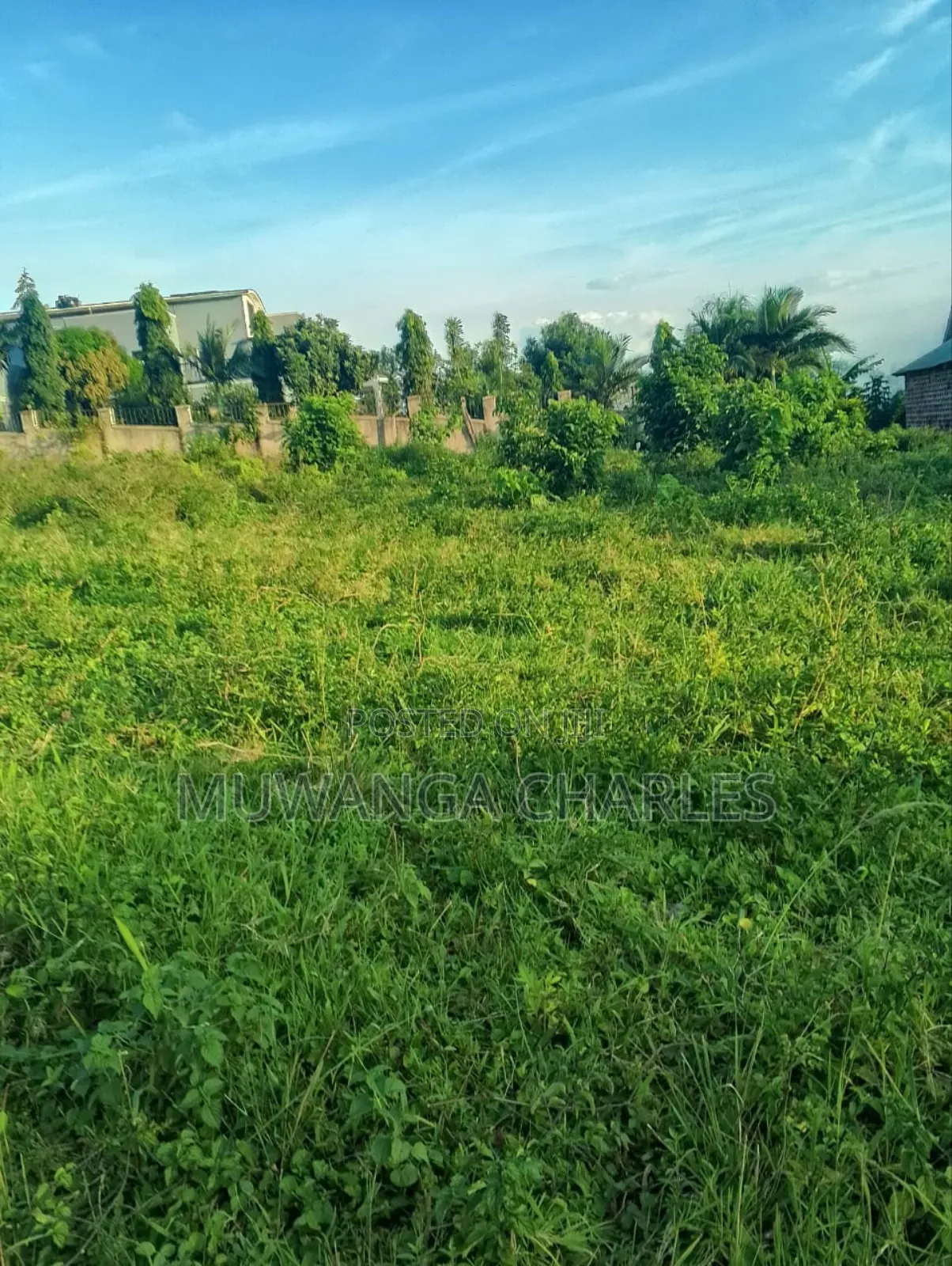 Plot for Sale in Busukuma in Busukuma