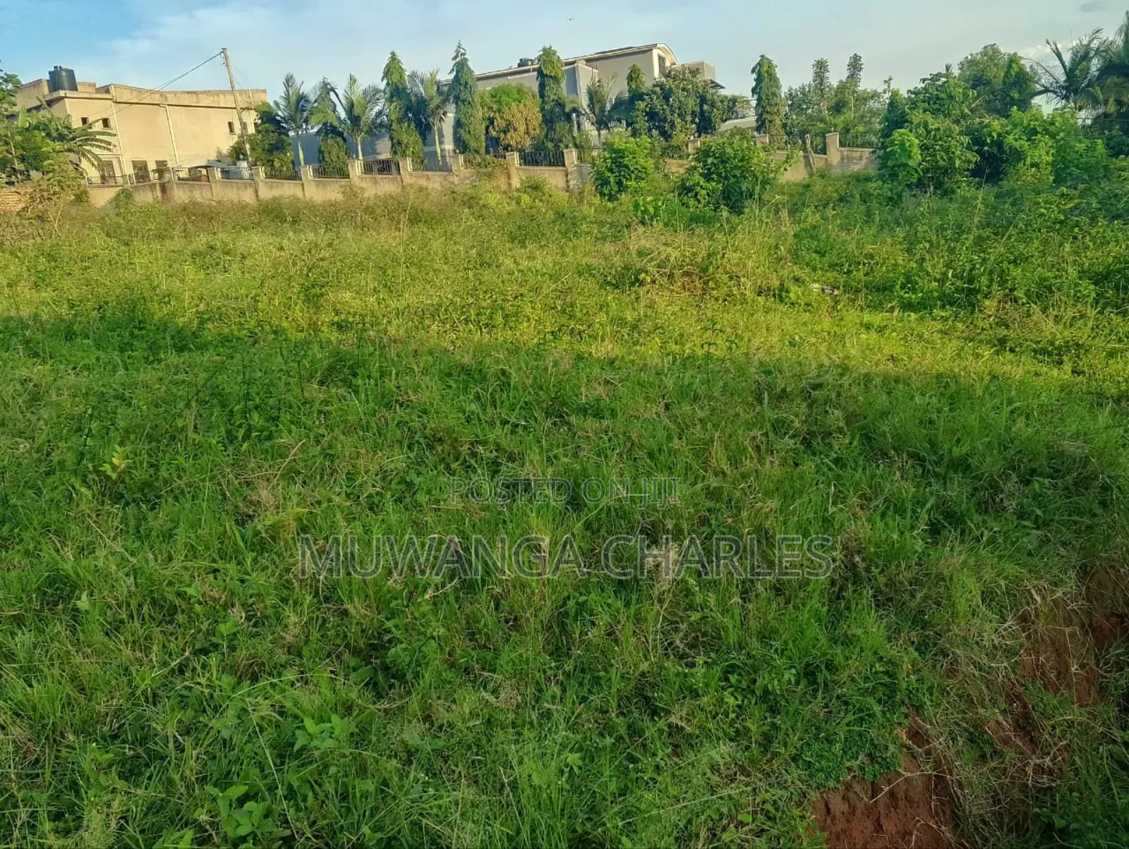Plot for Sale in Busukuma in Busukuma