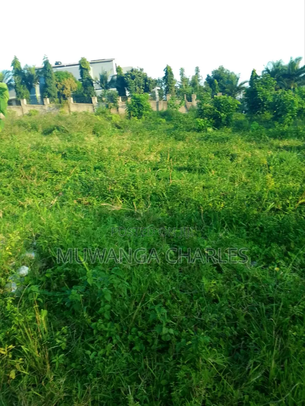 Plot for Sale in Busukuma in Busukuma