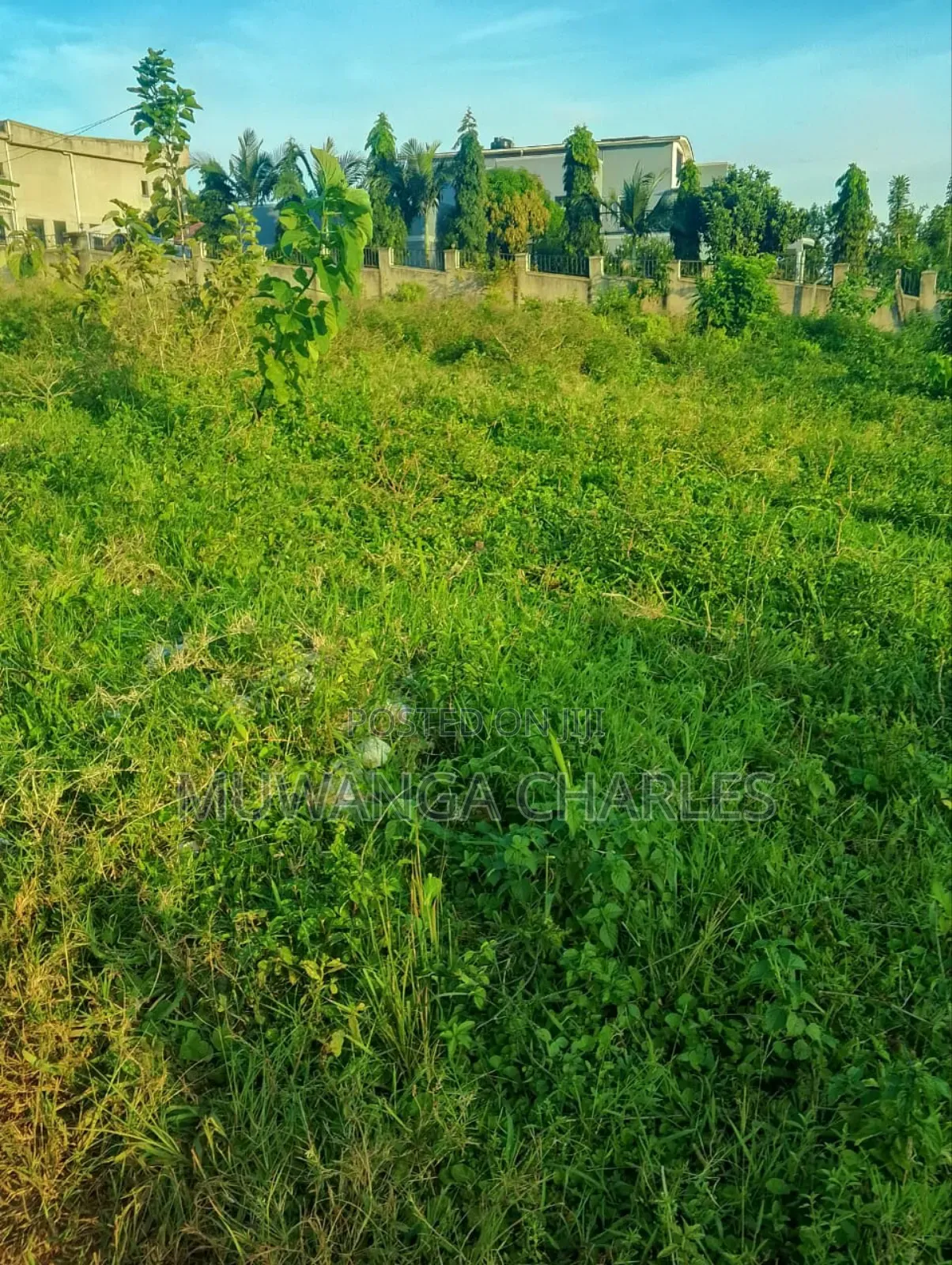 Plot for Sale in Busukuma in Busukuma